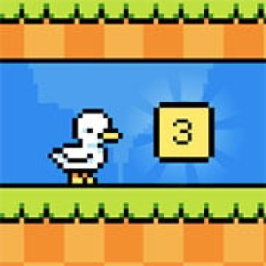 Times Table Duck 